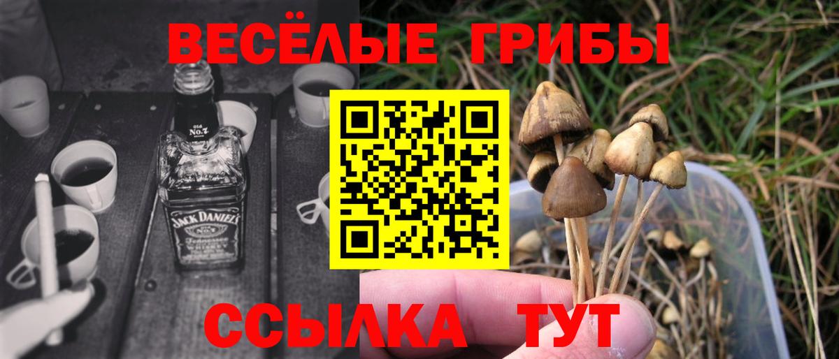 ГАШ  Аша  Меф   Вход с VPN  COCAIN 
