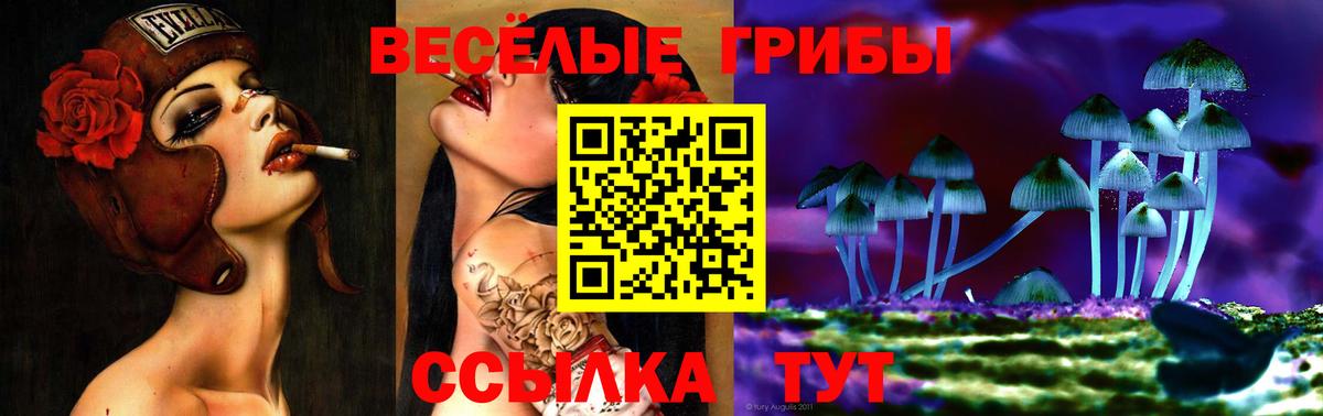 Аша  Псилоцибиновые грибы мицелий  Вход с VPN  Псилоцибиновые грибы мухоморы 